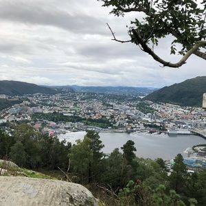 Meet your Posher, Josephine